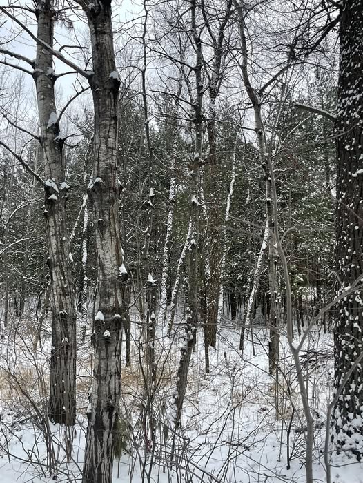 Friday, December 20, 2024 (Ashley)