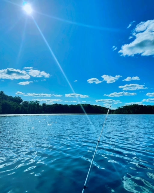 Friday, May 31, 2024 (Ashley)