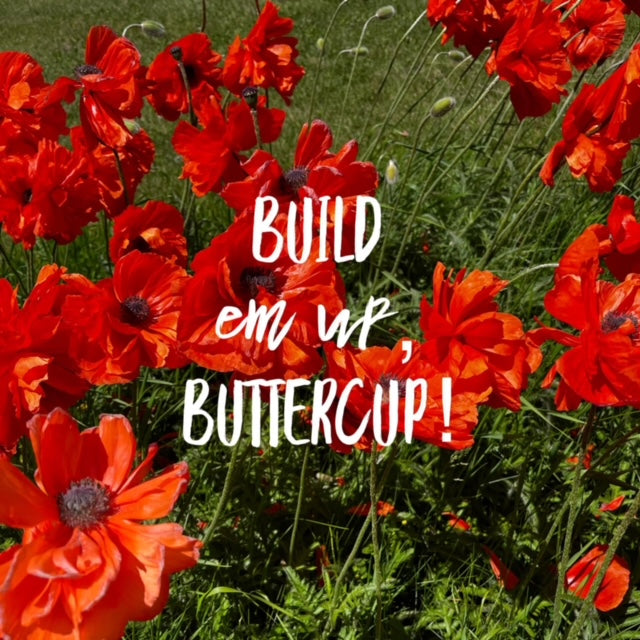 Wednesday, June 5, 2024 (Paula)