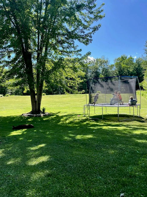 Friday, June 14, 2024 (Ashley)