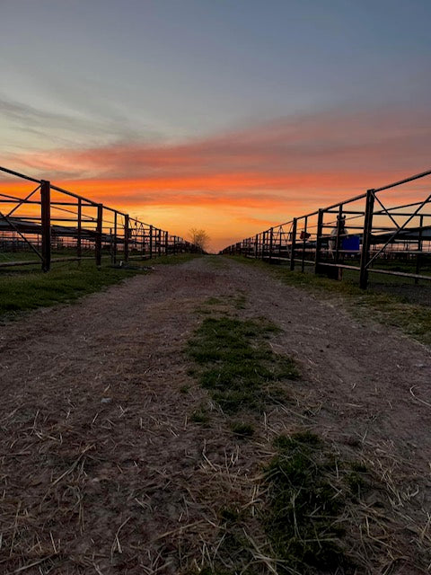 Thursday, June 20, 2024 (Rachel)