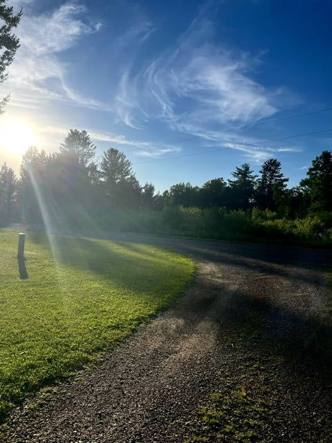 Friday, June 21, 2024 (Ashley)