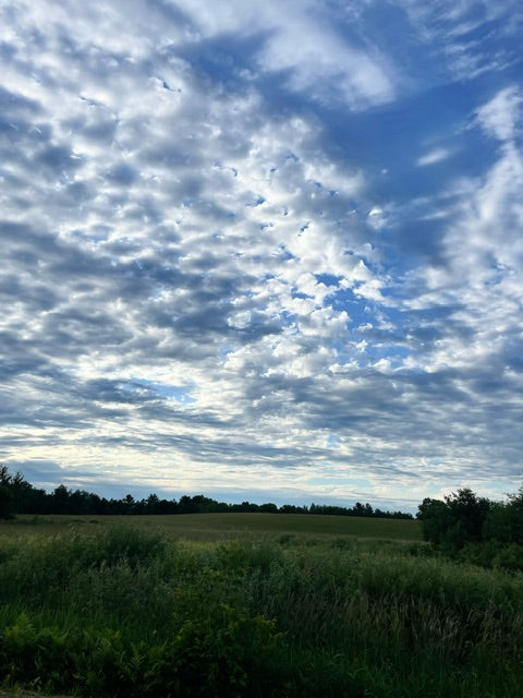 Friday, July 5, 2024 (Ashley)