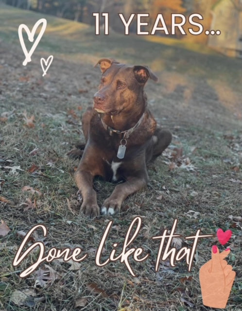 Friday, July 12, 2024 (Ashley)