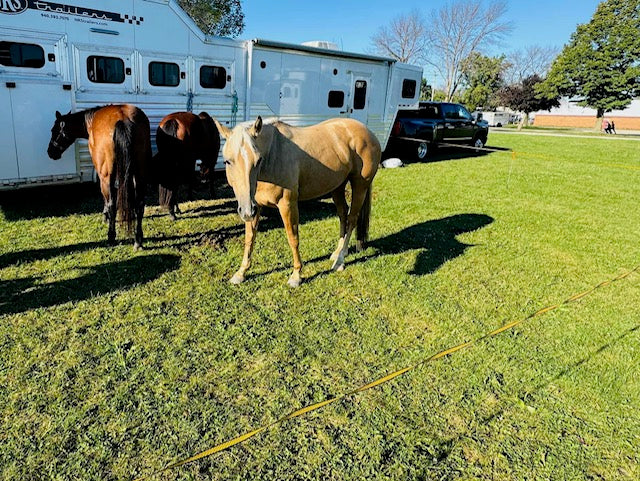 Thursday, August 22, 2024 (Rachel)