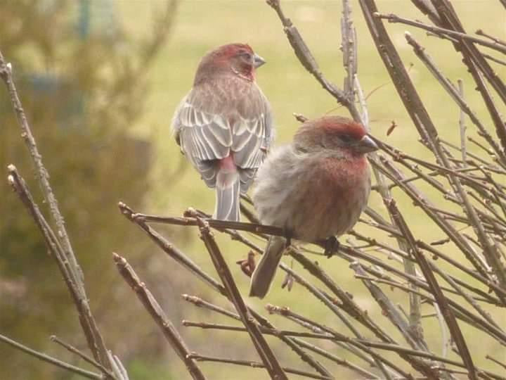 Monday, October 21, 2024 (Mary Ann)