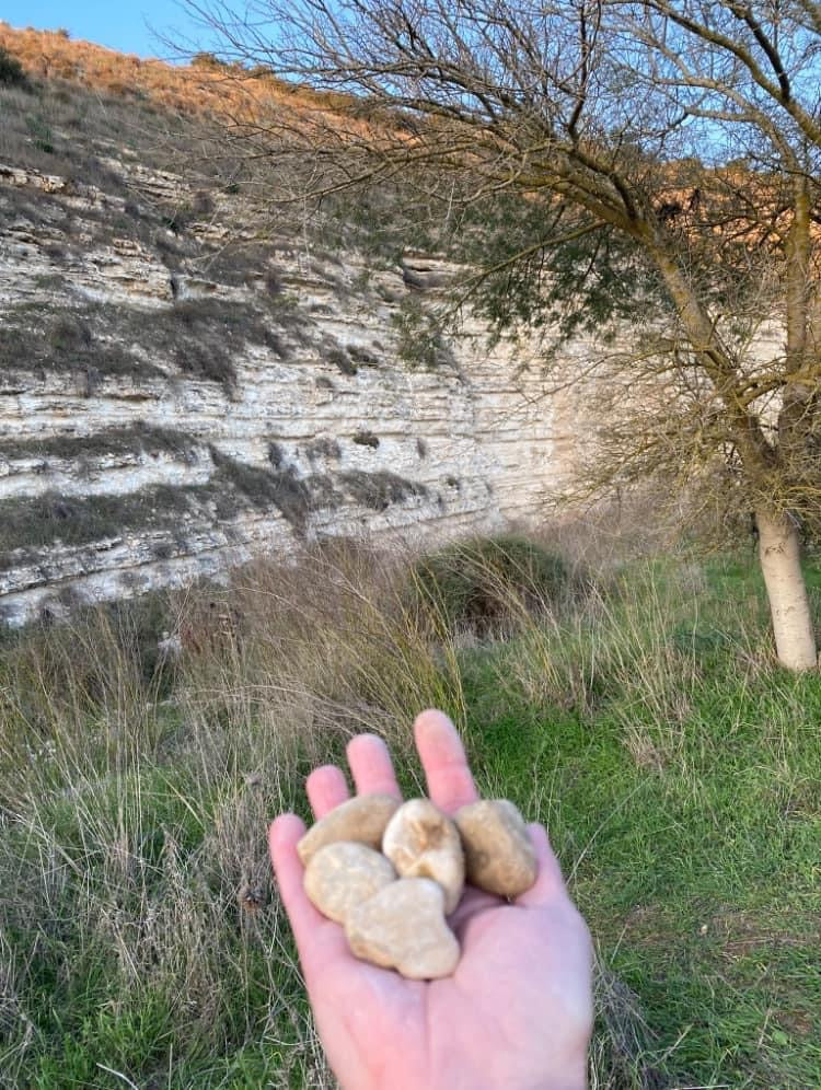 Wednesday, January 17, 2024 (Paula)