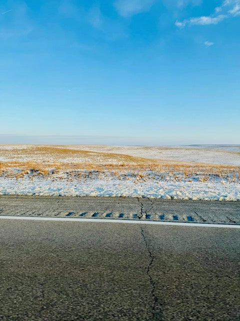 Thursday, February 1, 2024 (Rachel)