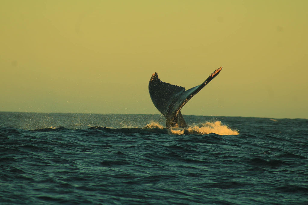 Wednesday, February 21, 2024 (Paula)