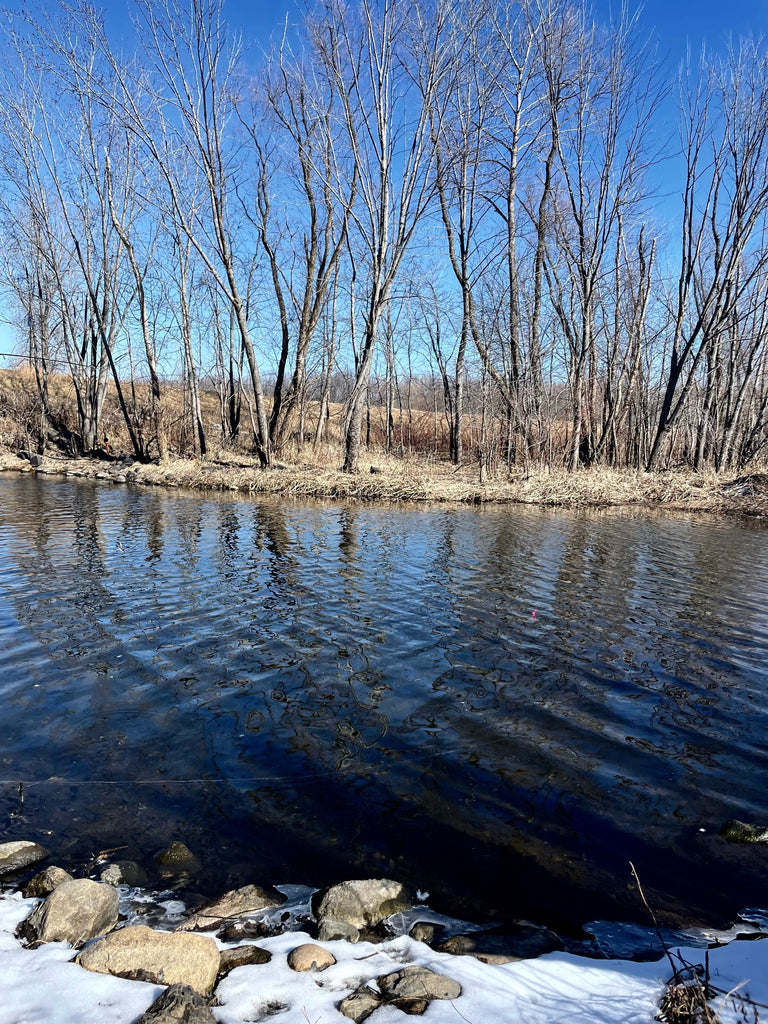 Friday, February 23, 2024 (Ashley)