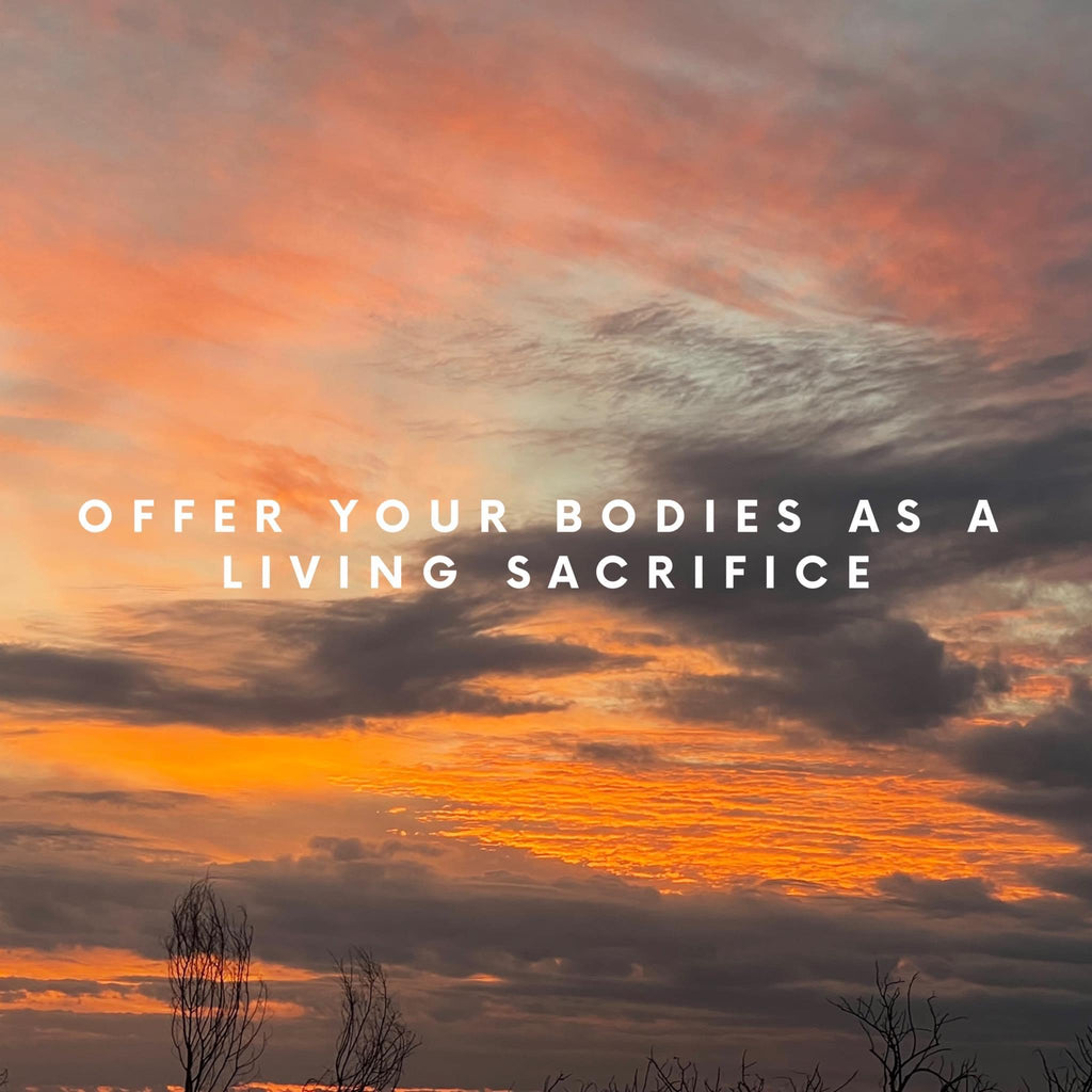 Wednesday, January 3, 2024 (Paula)