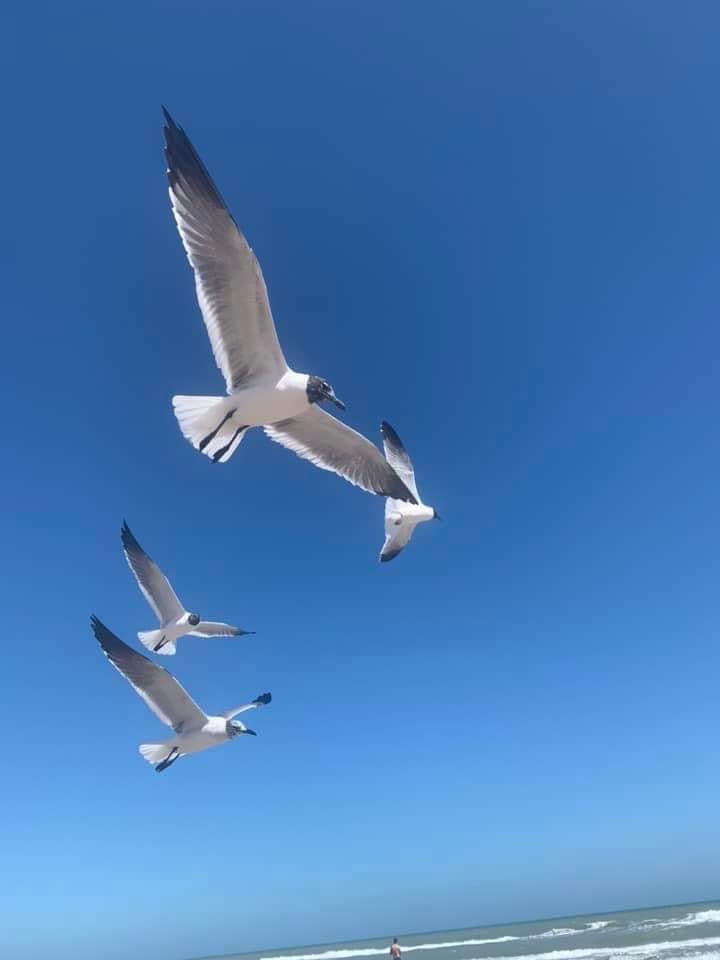 Thursday, February 29, 2024 (Rachel)