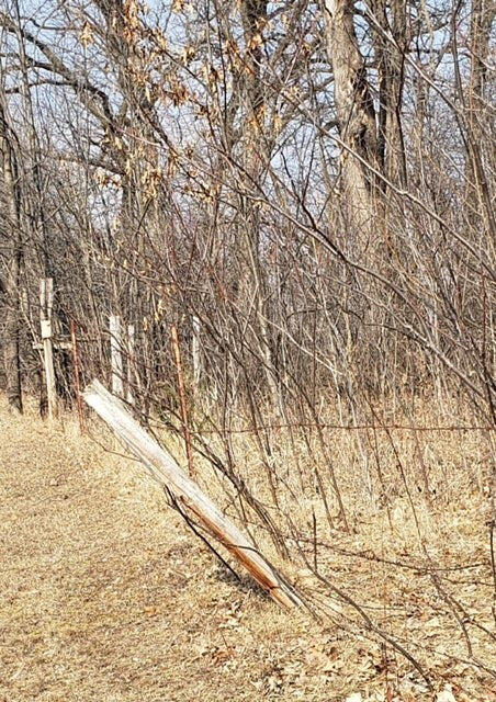 Monday, March 4, 2024 (Mary Ann)