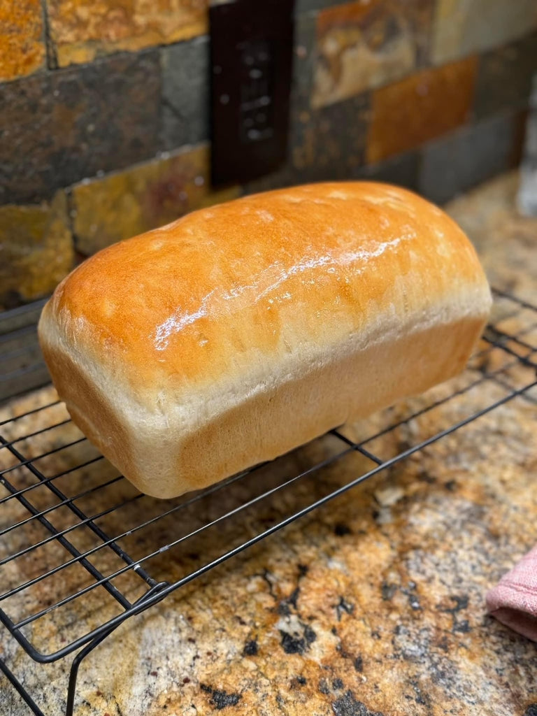 Thursday, January 4, 2024 (Rachel)