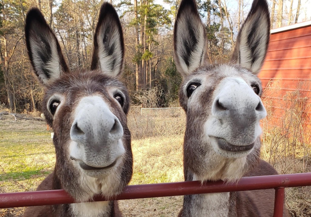 Monday, March 25, 2024 (Mary Ann)