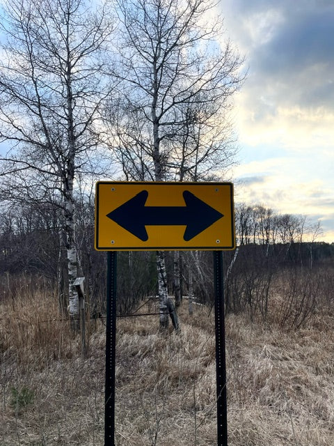 Friday, April 19, 2024 (Ashley)