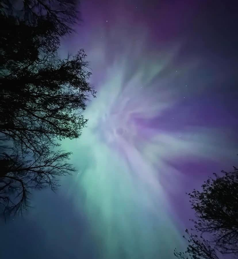 Tuesday, May 14, 2024 (Aminta)