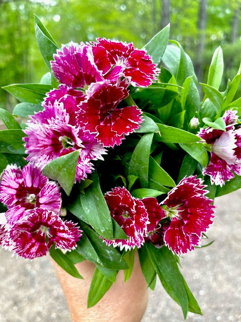 Friday, May 17, 2024 (Ashley)