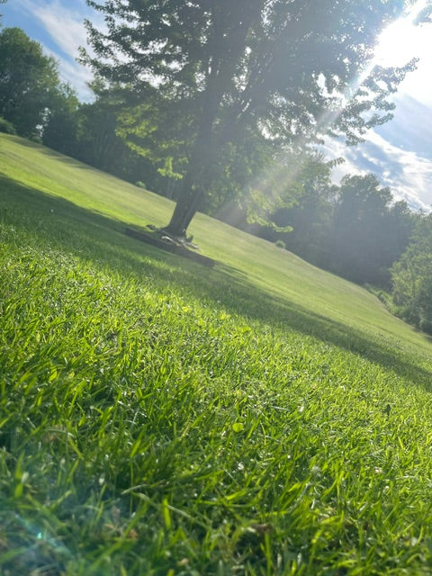 Friday, May 24, 2024 (Ashley)