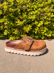 Maple Step